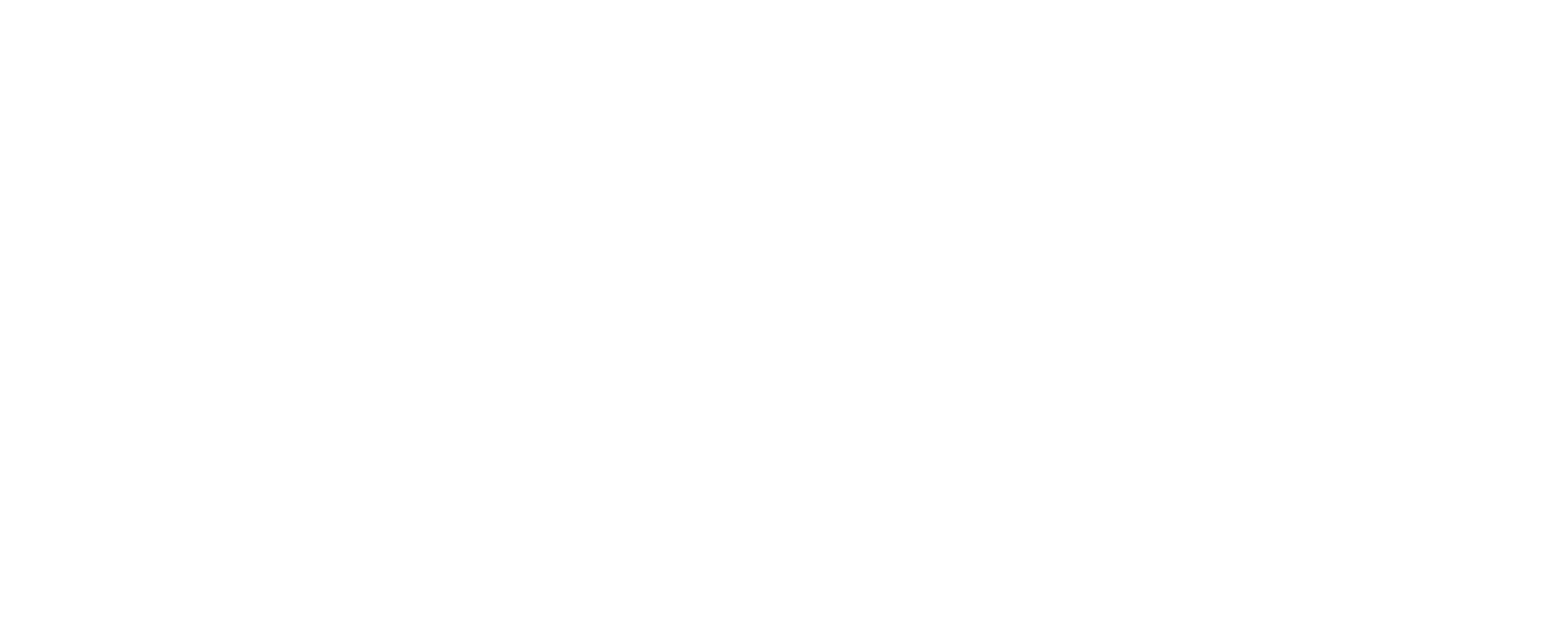 EuroCloud Logo in weiß